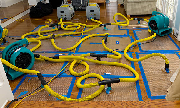 Professional Burst Pipe Water Damage technician working in Durham, OR
